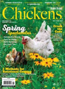 Chickens – May-June 2026