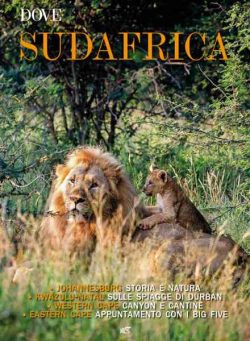 Dove Guide – Marzo 2026