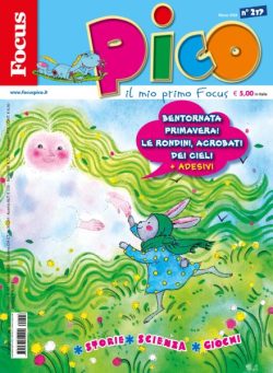 Focus Pico – Marzo 2026