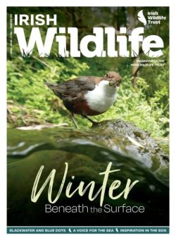 Irish Wildlife Magazine – Winter 2025-2026