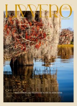 Liv Vero Magazine – February 2026