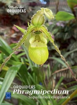 Mestre das Orquideas – Edicao 26 026