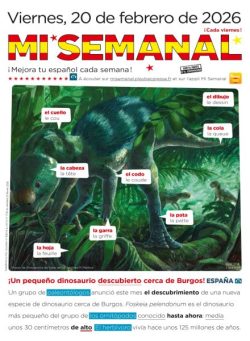 Mi Semanal – 20 Febrero 2026