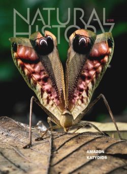 Natural History – February 2026