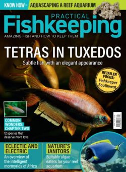 Practical Fishkeeping – April 2026