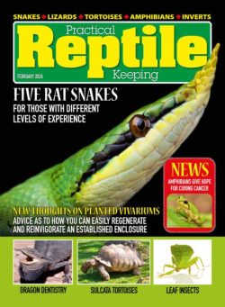 Practical Reptile Keeping – February 2026