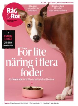 Rad & ROn – Mars 2026