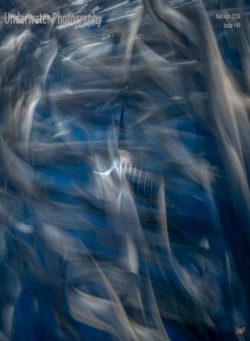 Underwater Photography – March-April 2026