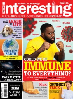 Very Interesting – February 2026