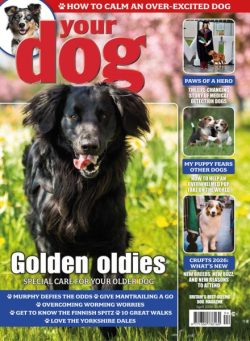 Your Dog – April 2026