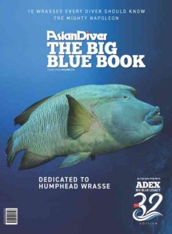 Asian Diver – Vol 173 2026