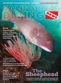 California Diving News – April 2026