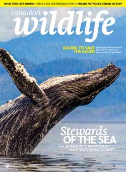 Canadian Wildlife – May-June 2026
