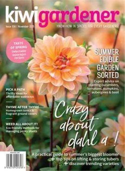 Kiwi Gardener – November 2025