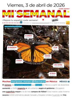 Mi Semanal – 3 Abril 2026