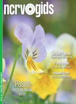 NCRV-gids – 31 Maart 2026