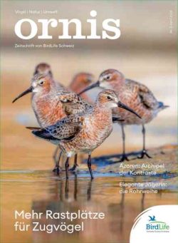 Ornis – April 2026