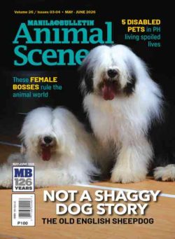 Animal Scene – May-June 2026