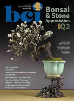 BCI Bonsai & Stone Appreciation Magazine – Volume 65 Number 2 2026