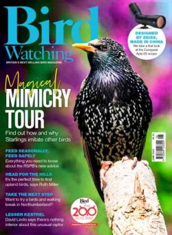 Bird Watching UK – June 2026