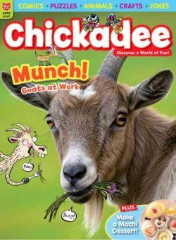 Chickadee – May-June 2026