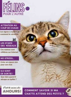 Felins pour l’autre – 5 Mai 2026
