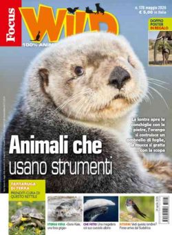 Focus Wild – Maggio 2026