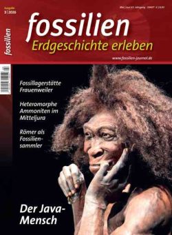 Fossilien – Mai-Juni 2026