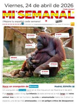 Mi Semanal – 24 Abril 2026