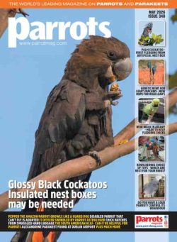 Parrots – May 2026