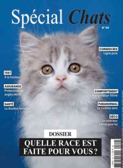 Special Chats – Fevrier 2026
