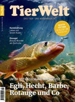 TierWelt – 15 Mai 2026