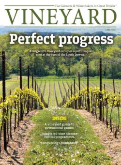 Vineyard – June 2026