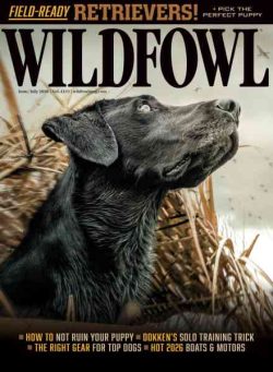 Wildfowl – June-July 2026