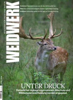Weidwerk – Juni 2026