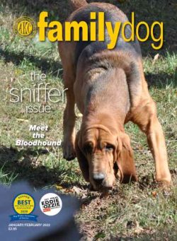 AKC Family Dog – January-February 2022