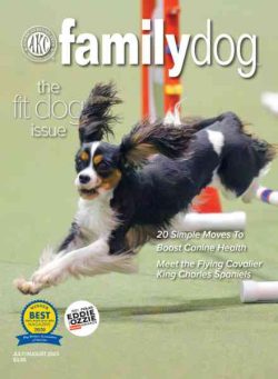 AKC Family Dog – July-August 2023