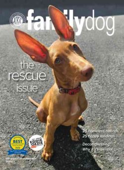 AKC Family Dog – November-December 2023