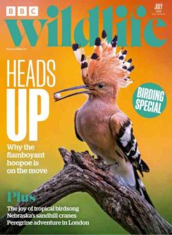 BBC Wildlife – July 2026
