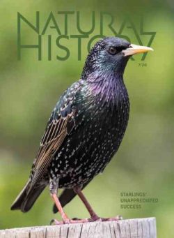 Natural History – July 2026