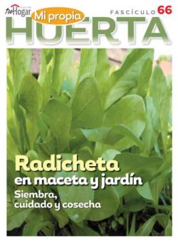 La Huerta en Casa – Agosto 2026