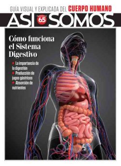 Asi Somos El cuerpo humano – Agosto 2026