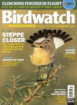 Birdwatch UK – October 2026