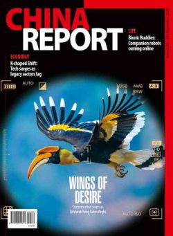 China Report – September 2026