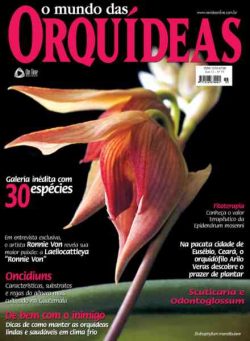 O Mundo das Orquideas – Agosto 2025