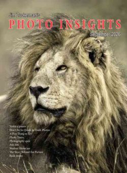 Photo Insights – September 2026