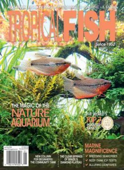 Tropical Fish Hobbyist – January-February 2026
