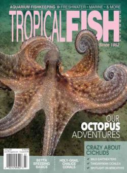 Tropical Fish Hobbyist – July-August 2021