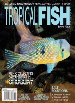 Tropical Fish Hobbyist – July-August 2026