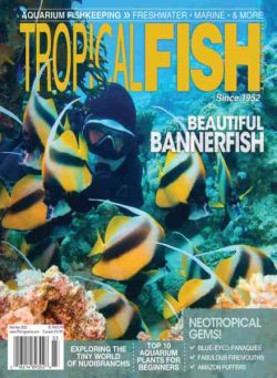 Tropical Fish Hobbyist – March-April 2022